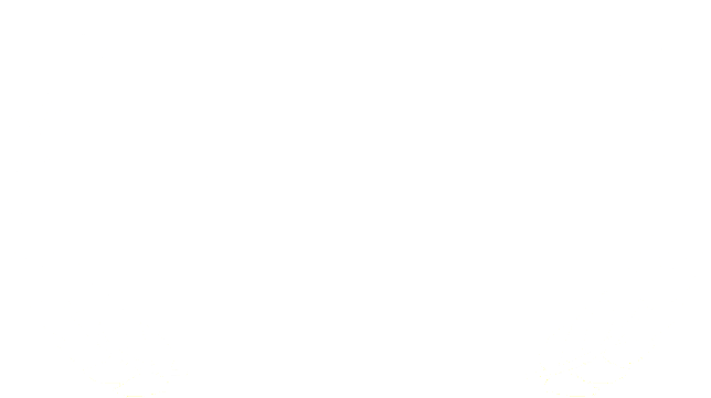 LFA Bronze Winner Laurel