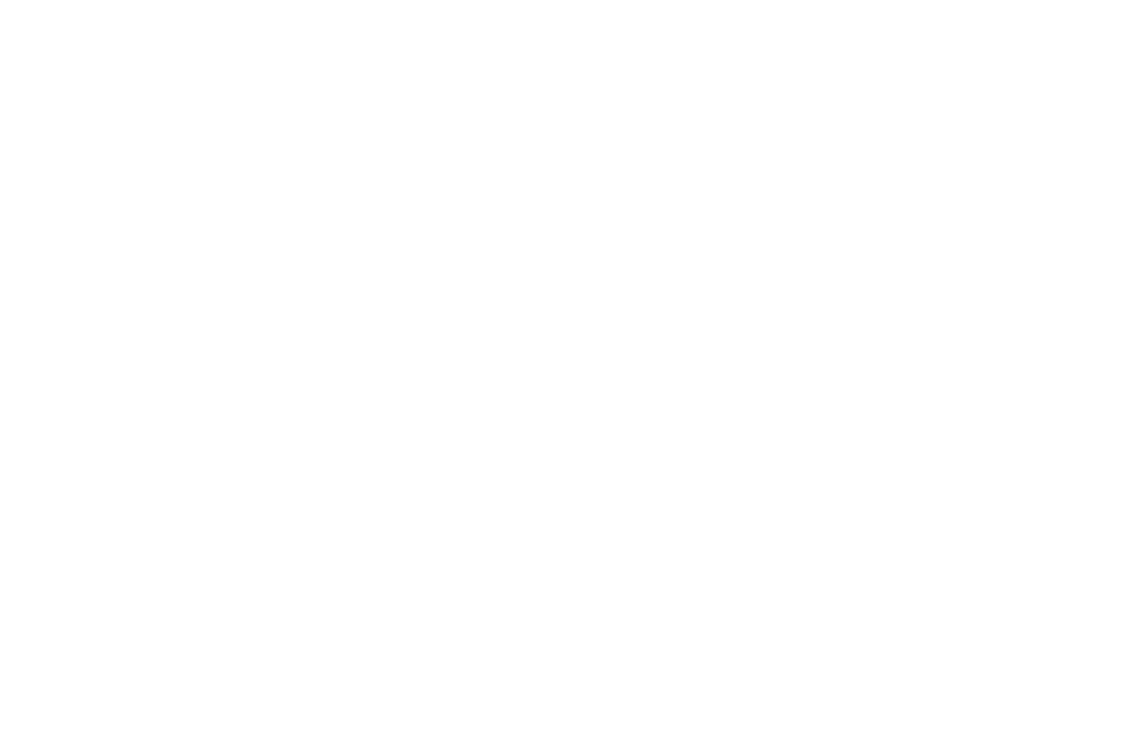 OFFICIAL SELECTION - Tees Valley International Film Festival - 2025